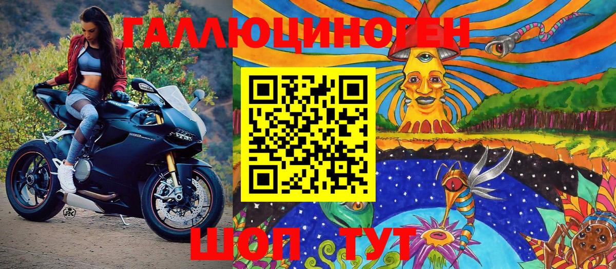 Псилоцибиновые грибы Psilocybe Югорск